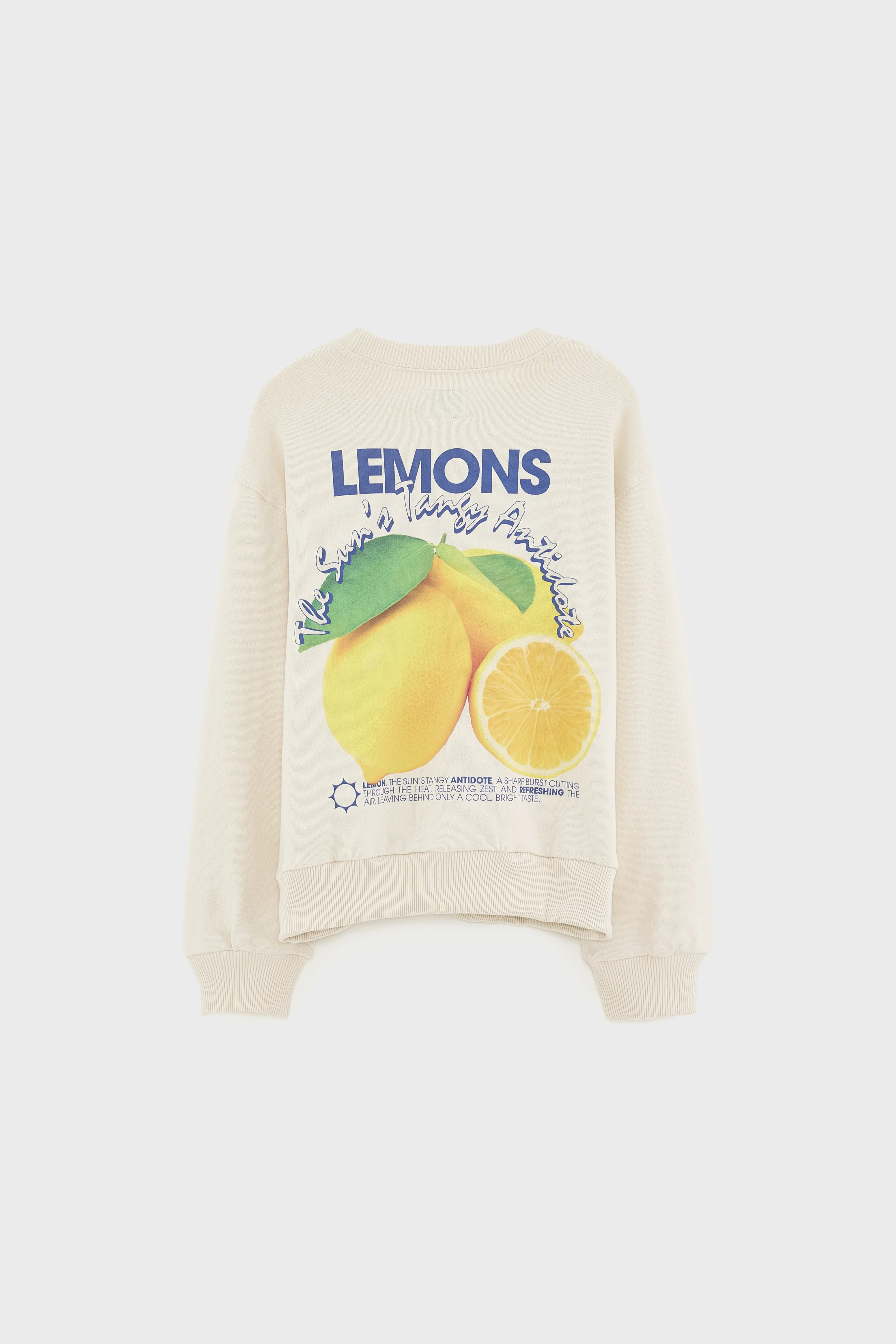 Chami crewneck sweatshirt (261 / B / CREAM) - Image 4