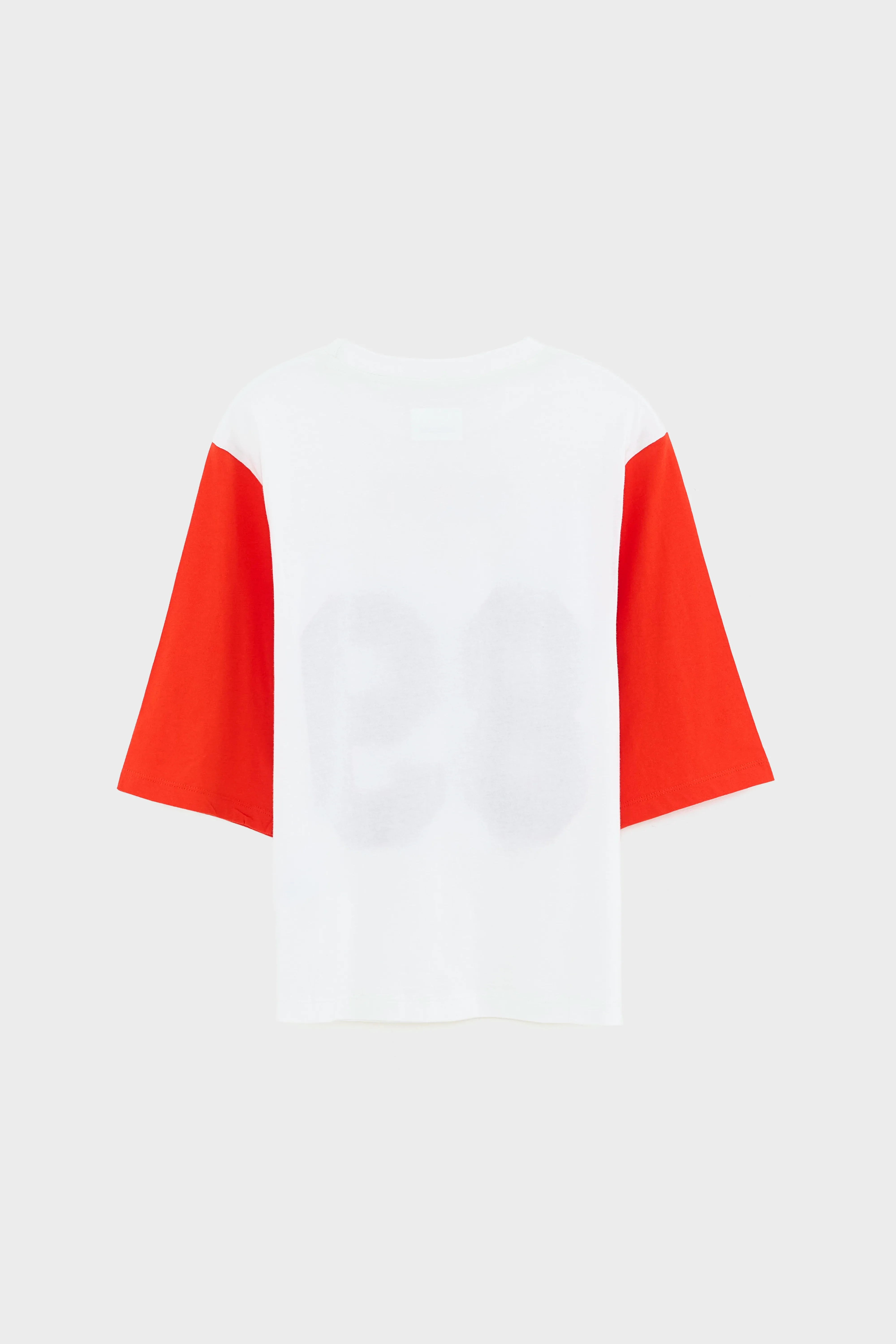 Asha boyfriend t-shirt (261 / G / VINTAGE WHITE) - Image 3