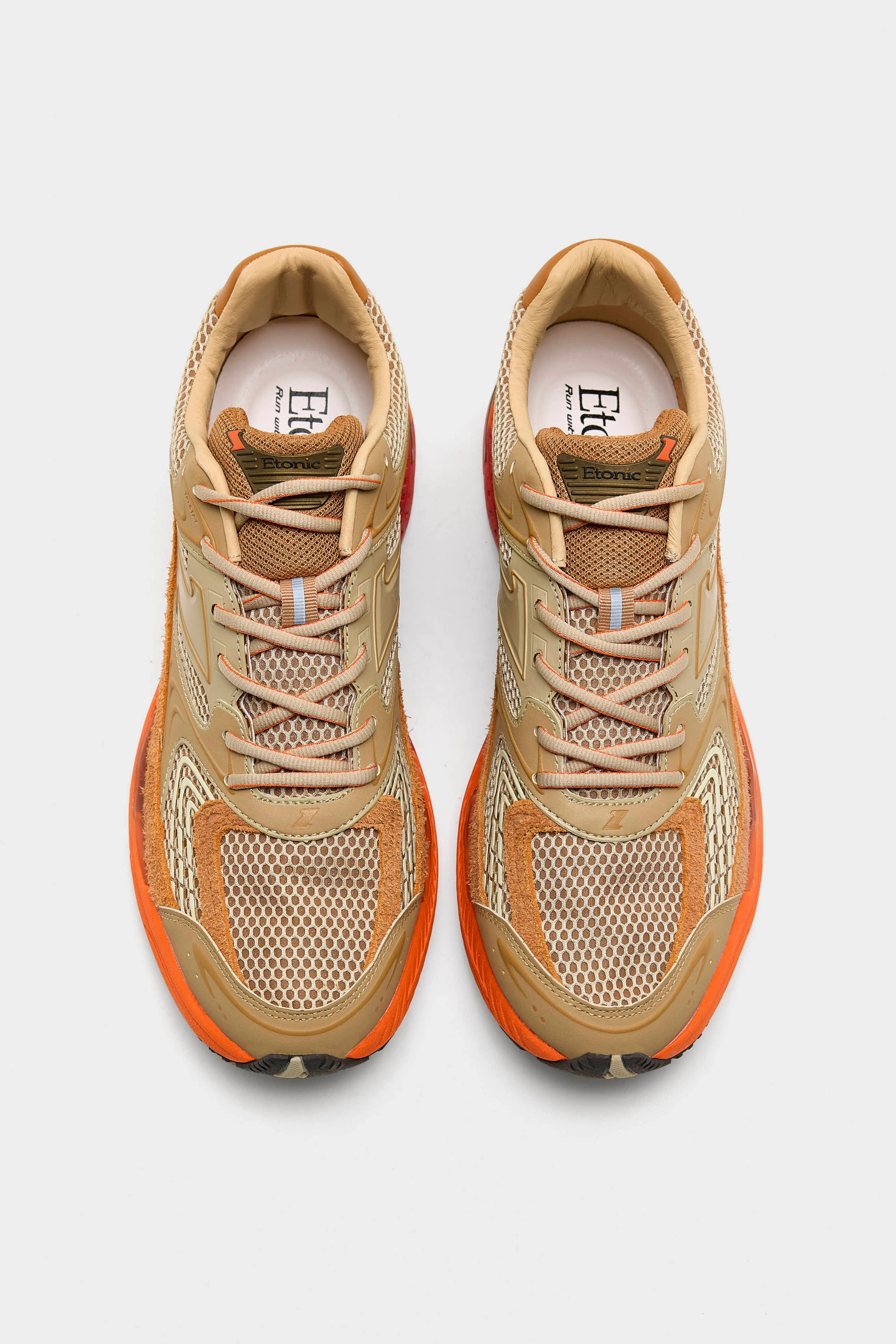 Evolution Fluo for Men  (261 / M / LIGHT BROWN) - Image 4