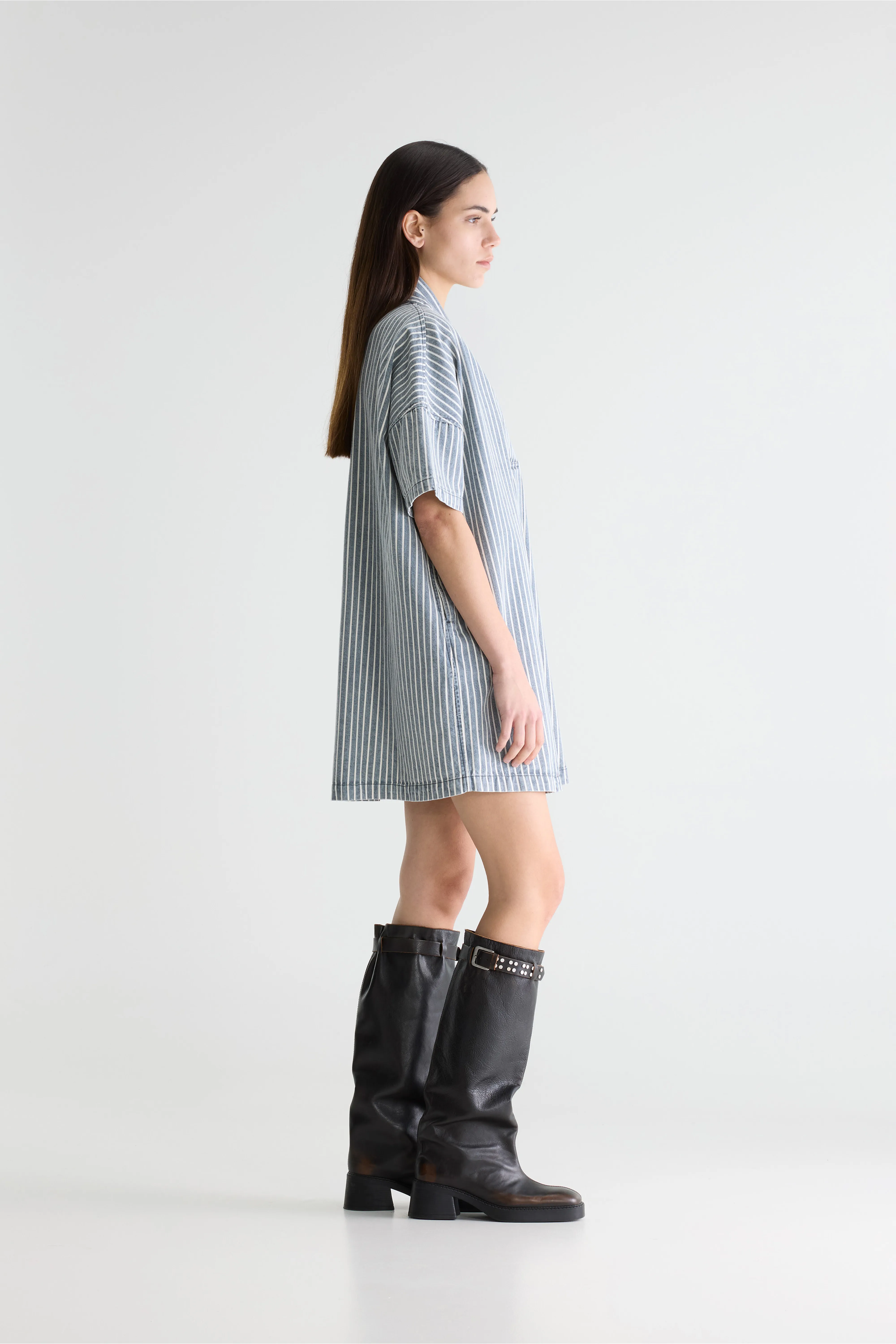 Pax denim dress (261 / W / STRIPE A) - Image 3